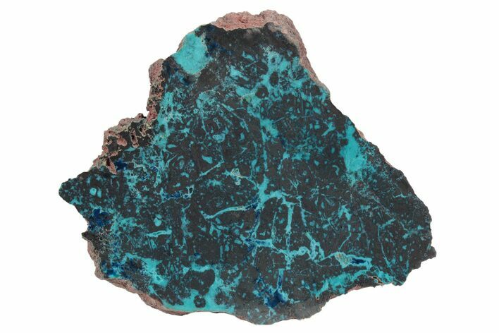 Colorful Chrysocolla and Shattuckite Slab - Mexico #236844